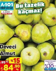 DEVECİ ARMUT KG